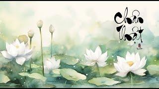 HỆ QUY CHIẾU: CẤU TRÚC CON NGƯỜI (PHẦN 1)