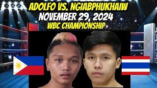 ADOLFO vs DANAI LATEST NOV 29 2024 | PINOY NA MABANGIS PA KAY CASIMERO NAGPAKILALA NA!