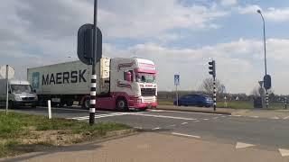 Baby Shark Toeter|Anette Glas Trans.|TruckspottersNL