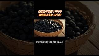 젊음, 머릿결, 심혈관 건강까지! 검은콩의 놀라운 효능 & 종류별 특징