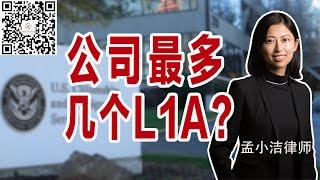 一个公司可以申请几个L1A