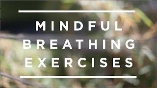 Mindful Breathing Exercises [Jeffrey Schwartz]