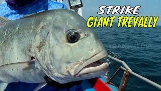 Battle Fishing Sengit Di Perairan Sabang | MANCING MANIA STRIKE BACK (03/02/24) Part 1