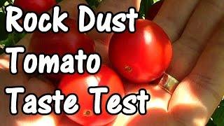 Do Tomatoes Grown in Rock Dust Taste Better? A Blind Taste Test