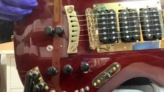 Ligertron Overview - a Phred Instruments Liger guitar with a Mu-Tron Microtron III built-in