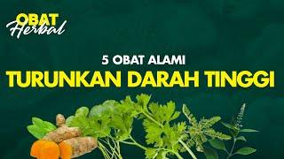 5 Obat Herbal Paling Ampuh Turunkan Darah Tinggi