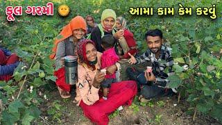 કપાસ માં કેટલો તડકો પડે  | Ketlo Badho Tadko Pade | Family Work