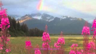 Bay Side RV Park Valdez Alaska