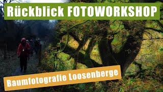 Das war der Fotoworkshop Loosenberge | Landschaftsfotografie | Fotoworkshops Niederrhein