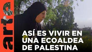 El destino de una ecoaldea palestina | ARTE.tv Documentales