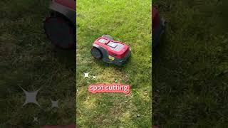 RoboUP Creations: Spot Cutting Function