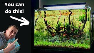 Complete Aquascaping Beginners Guide - Learn ALL The Basics!