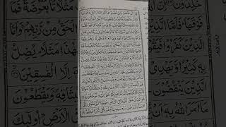 Tilawat Surah Al Baqara Part 5#quran #quranictranslation #quranrecitation #quranrecitation #duet