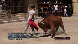 VIDEOCLIP DVD BOUS ADRIÁN HERNÁNDEZ MARÍ 2017 1º PARTE 2º DVD