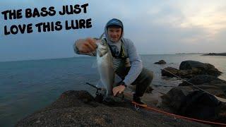 THIS LURE BRINGS THE BASS ON THE BITE | SUMMER BASS FISHING | CAST TILL YOU CATCH!