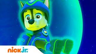 Psi Patrol | Pieski ratują kosmitę | Nick Jr.