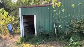 Part two of cleanup of the horse corral area