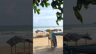 Sri Lanka’s South Coast! #mirissa #weligama #unawatuna #beach #southcoast #ceylon #srilanka