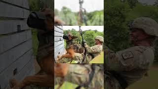  Military Dogs Rappel Training Hanuman Guardian 2023