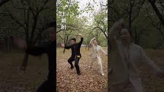 太极散手，全程发力动作精彩展示！#太极 #太极拳 #功夫 #武术 #太极拳教学 #健康养生
