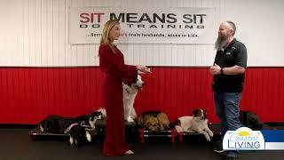 SPONSORED: Sit Means Sit Dog Training