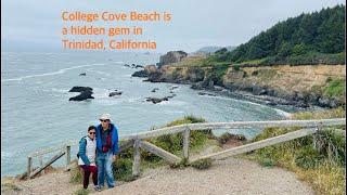 College Cove Beach is a hidden gem in Trinidad, California 7/14/2023