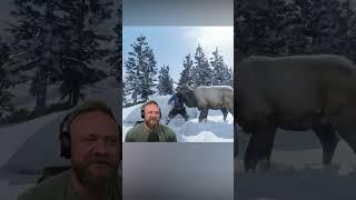 I Punched An Elk | RDR2