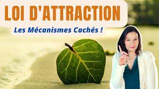 Loi d'attraction : Comprendre les mécanismes cachés et son impact dans nos vies...