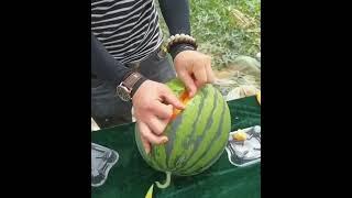 How to Carve Fruit Very Fast andBeauty part 3190#shorts #watermelon #shortvideo