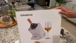 WINE LOVERS!  You Need This Electric Wine Chiller to Keep Your Wines and Champagnes Cold!