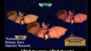 JumpStart Bat Echolocation Song