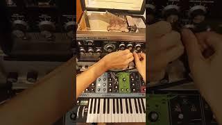 "Les parenthèses enchantées IV   - Swimming version" - MOOG GRANDMOTHER INTO SPACE ECHO