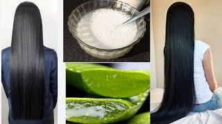 Natural Homemade Shampoo For Hair Fall,Dandruff & Health Hair Smooth and Silky|SM Beautyland Studio