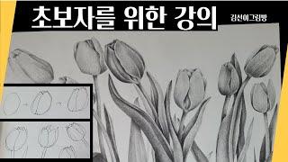 튤립 그리기/김선이그림방(연필 보태니컬아트)