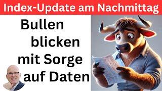 Index-Update am Nachmittag: Schreckhaft, aber guten Mutes? | BORN-4-Trading