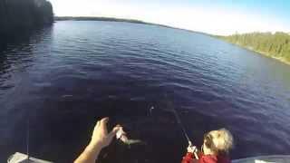 Fishing-Sterls Walleye 12