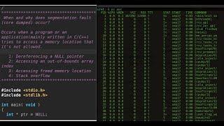 Understanding Segmentation Fault: Process and Memory Space Explained ‍