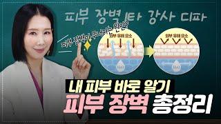 피부 좋아지려면 이것을 알아야 합니다. 피부 장벽 상하게 하는 원인 7가지 by 디렉터파이