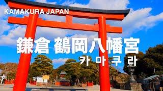 【4K 】  鎌倉 카마쿠라 쓰루가오카하치만구 Kamakura Tsurugaoka Hachimangu鎌倉鶴岡八幡宮散歩 English Sub & 한글자막