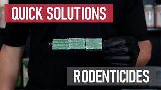 Quick Solutions: What are Rodenticides? [DIY Rodent Control]