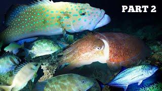 e91 - Part 2 | Night Spearfishing Hunting At Night | D Ilocano Hunter