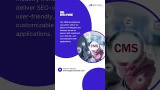 CMS Development Company Dubai