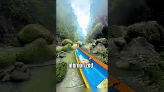 The Ultimate Tour Guide