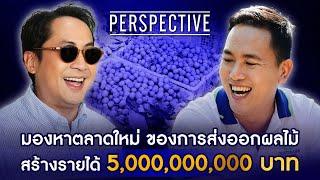 แพลททินัม ฟรุ๊ต จำกัด (มหาชน) ตลาดใหม่ของการส่งออกผลไม้ รายได้ 5 พันล้าน! I PERSPECTIVE [2 มี.ค.68]