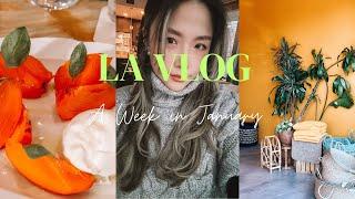 LA VLOG  엘에이 일상 브이로그 | 엘에이에서 요즘 가장 핫한 레스토랑, 엘에이 주말 데이트 핫플, 프랑스 마켓, 디올 x ERL 팝업스토어, 미국 주말 부부 데이트