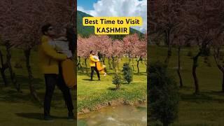 Best Time to visit Kashmir #kashmirtourism #visitkashmir #kashmir #kashmirsnow #kashmiri