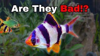 The Most CONTROVERSIAL Aquarium Fish