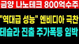 새벽속보! 금양 류광지 드디어! 나노테크 800억 수주! "역대급입니다" 엔비디아,아마존 진출 교두보 완성! 테슬라 4680까지 이겼다 초대박