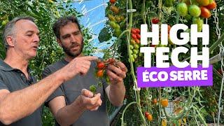 A High-Tech Greenhouse for Pesticide-Free Tomatoes