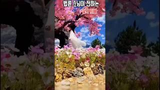"법륜 스님이 전하는 삶의 지혜: 행복을 찾는 방법"  #법륜스님 #행복찾기 #명언
